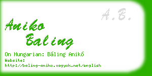 aniko baling business card